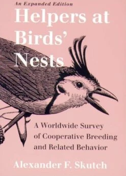 Helpers At Birds' Nests