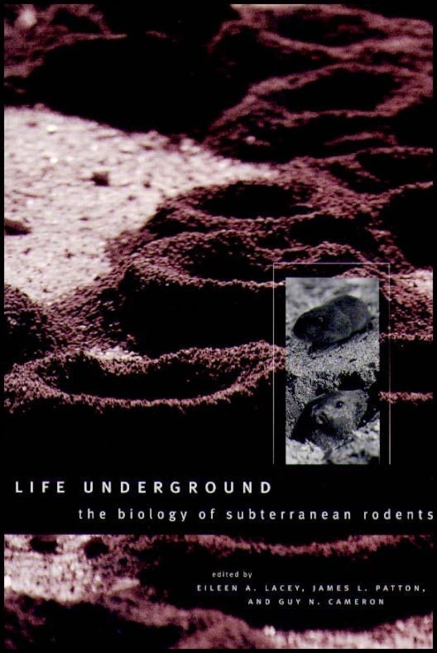 Life Underground 3 Life Underground