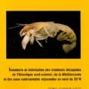 Inventaire Et Distribution Des Crustacés Décapodes De L’Atlantique Nord-Oriental, De La Méditerranée Et Des Eaux Continentales Adjacentes Au Nord De 25°N 1 Inventaire Et Distribution Des Crustacés Décapodes De L’Atlantique Nord-Oriental, De La Méditerranée Et Des Eaux Continentales Adjacentes Au Nord De 25°N -Wildlife Professional Books 103595