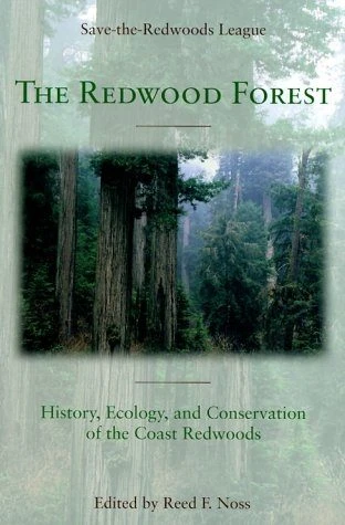 The Redwood Forest 4 The Redwood Forest - Image 2