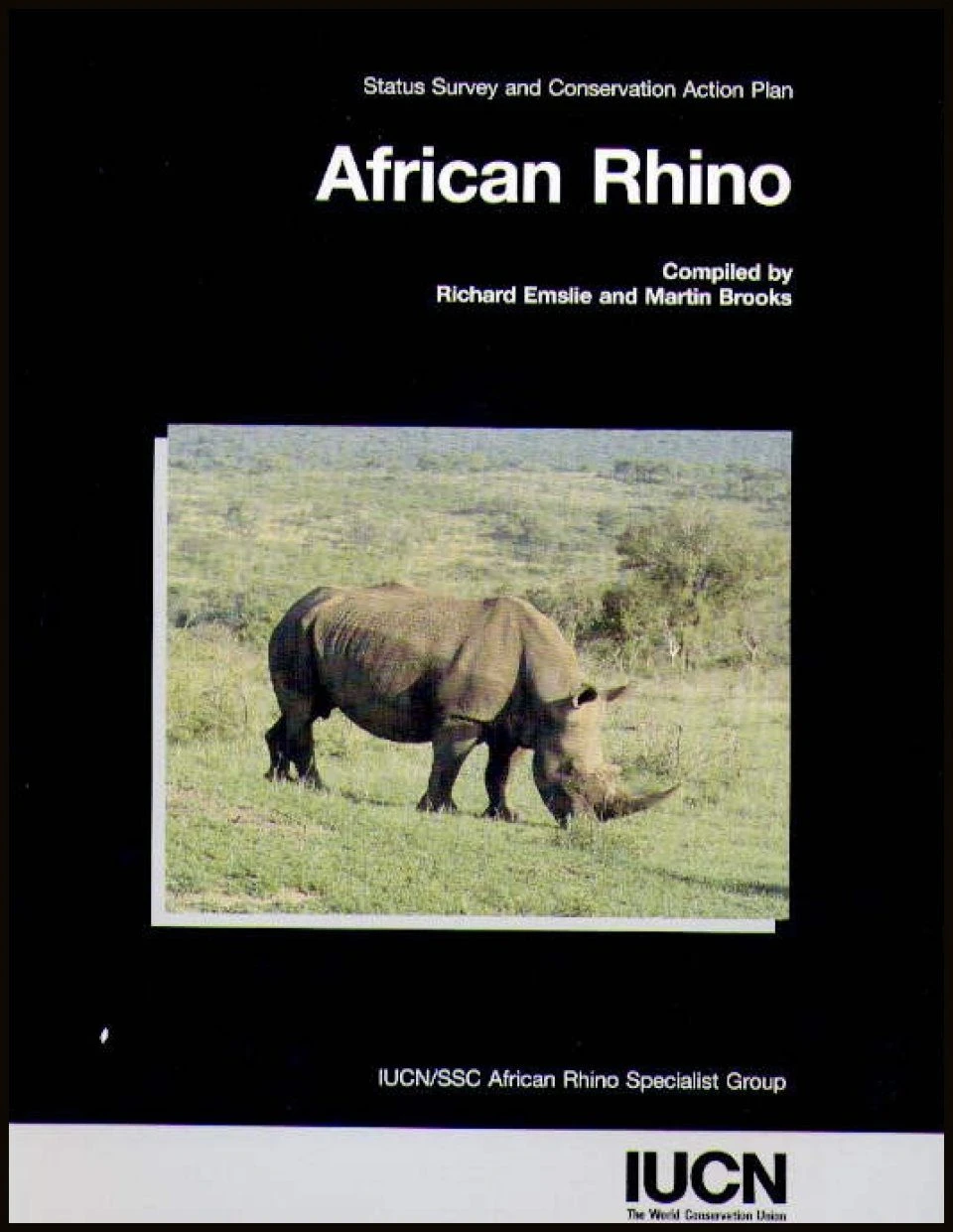 African Rhino 3 African Rhino