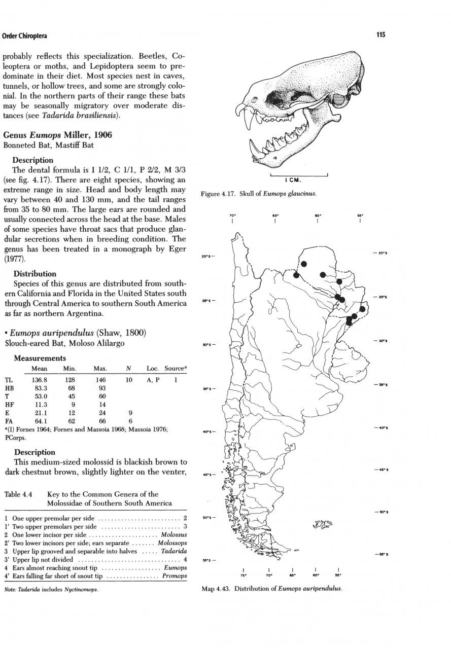 Mammals Of The Neotropics: Volume 2 4 Mammals Of The Neotropics: Volume 2 - Image 2