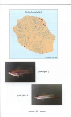 Atlas Des Poissons Et Des Crustacés D'Eau Douce De La Réunion [Atlas Of Fish And Freshwater Crustaceans Of Réunion] -Wildlife Professional Books 107382 3