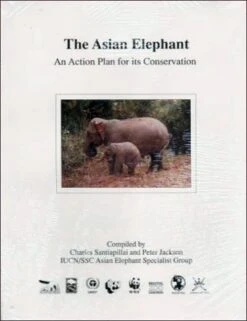 The Asian Elephant: An Action Plan For Its Conservation
