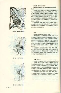 Atlas Of Woody Plants In Henan [Chinese] -Wildlife Professional Books 113744 2