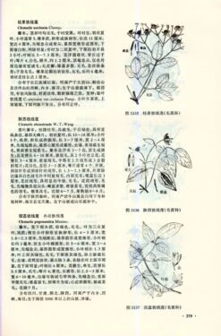 Atlas Of Woody Plants In Henan [Chinese] -Wildlife Professional Books 113744 3