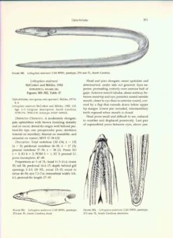 Fishes Of The Western North Atlantic, Part 9 (2-Volume Set) 12 Fishes Of The Western North Atlantic, Part 9 (2-Volume Set) -Wildlife Professional Books 11969 3