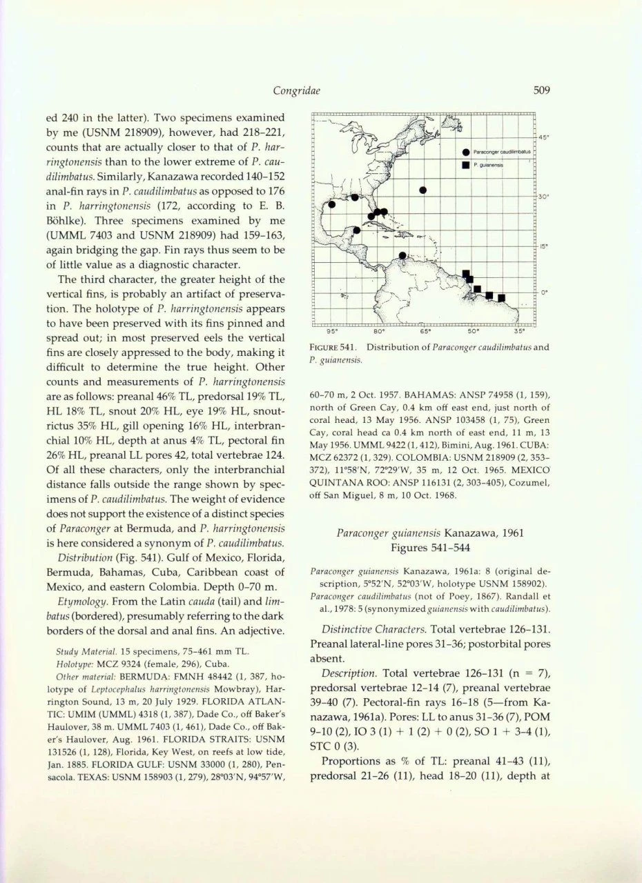 Fishes Of The Western North Atlantic, Part 9 (2-Volume Set) 8 Fishes Of The Western North Atlantic, Part 9 (2-Volume Set) - Image 6