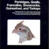 Partridges, Quails, Francolins, Snowcocks. Guineafowl, And Turkeys 1 Partridges, Quails, Francolins, Snowcocks. Guineafowl, And Turkeys -Wildlife Professional Books 120125