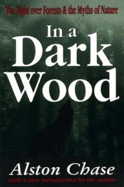 In A Dark Wood