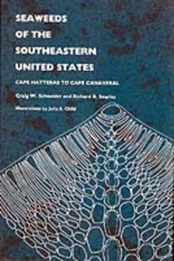 Seaweeds Of The Southeastern United States
