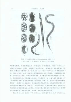 Fauna Sinica: Invertebrata, Volume 25: Nematoda: Rhabditida: Strongylata (I) [Chinese] -Wildlife Professional Books 122677 1