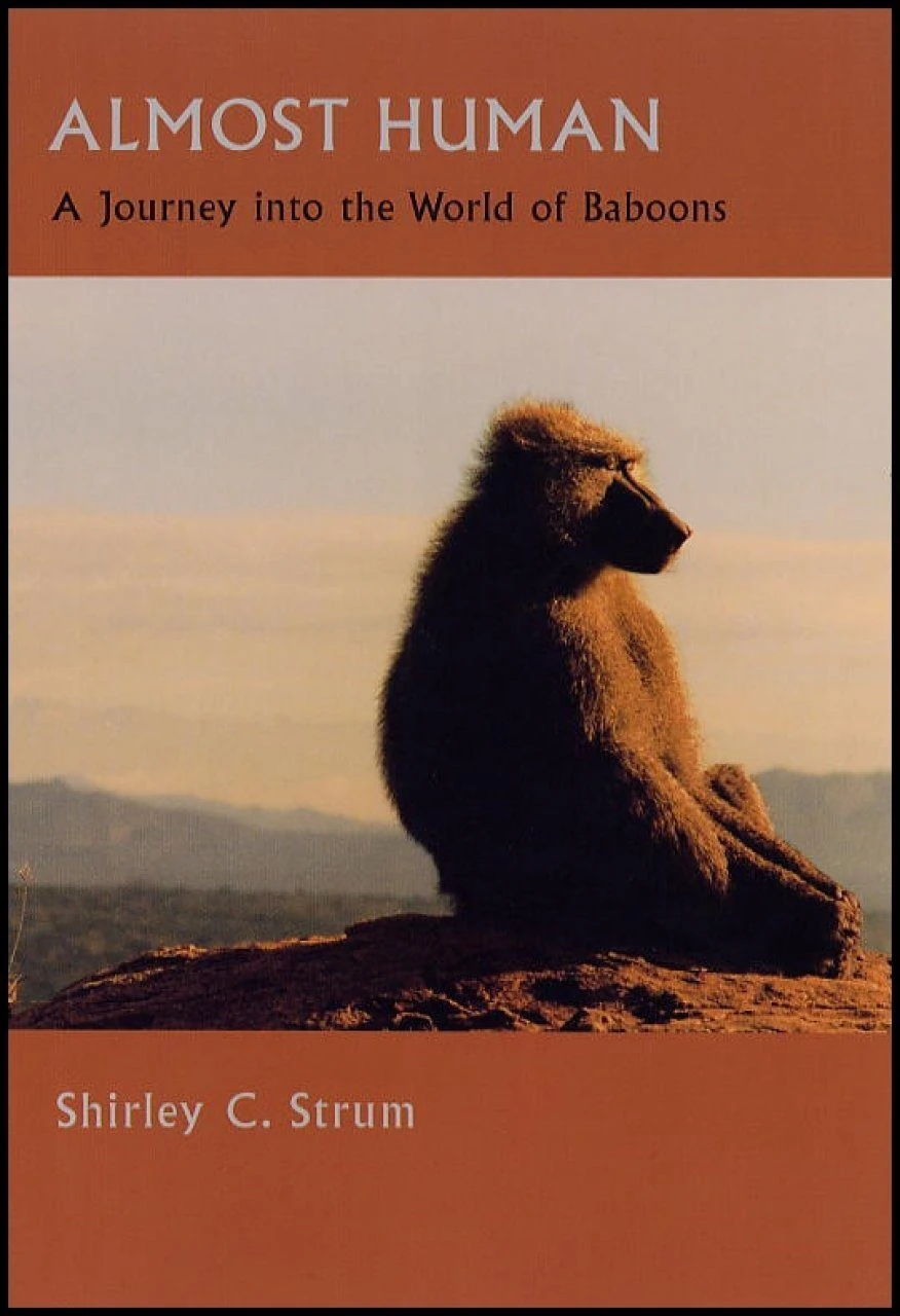 Almost Human 3 Almost Human