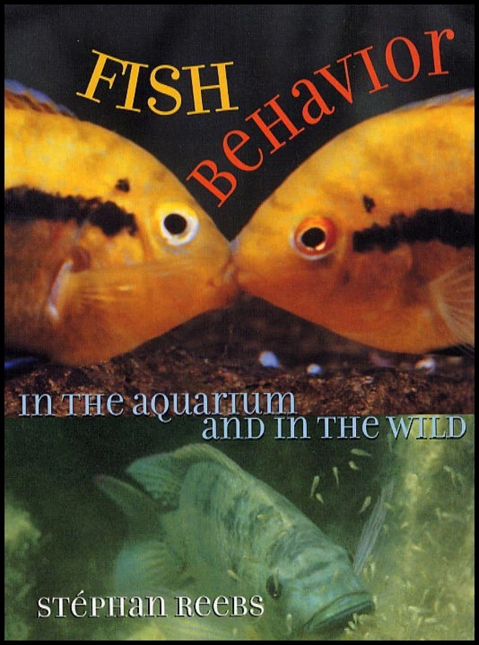 Fish Behavior In The Aquarium And In The Wild 3 Fish Behavior In The Aquarium And In The Wild