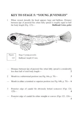 Keys To Larval And Juvenile Stages Of Coarse Fishes From Fresh Waters In The British Isles 11 Keys To Larval And Juvenile Stages Of Coarse Fishes From Fresh Waters In The British Isles -Wildlife Professional Books 125292 4