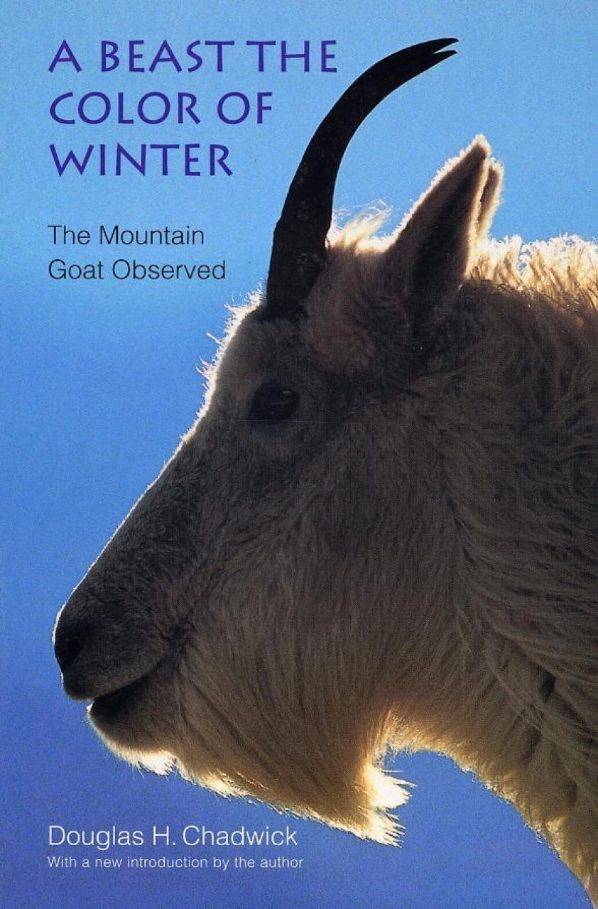 A Beast The Color Of Winter 3 A Beast The Color Of Winter