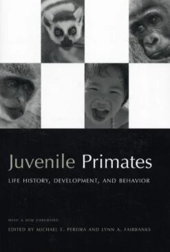 Juvenile Primates