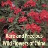 Rare And Precious Wild Flowers Of China, Volume 2 2 Rare And Precious Wild Flowers Of China, Volume 2 -Wildlife Professional Books 127706