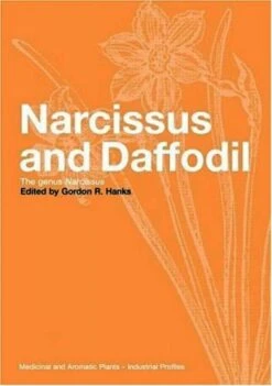 Narcissus And Daffodil