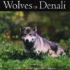 The Wolves Of Denali 1 The Wolves Of Denali -Wildlife Professional Books 137779