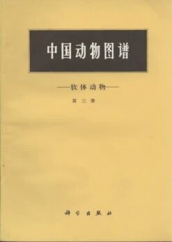 Illustrated Animals Of China-Mollusca