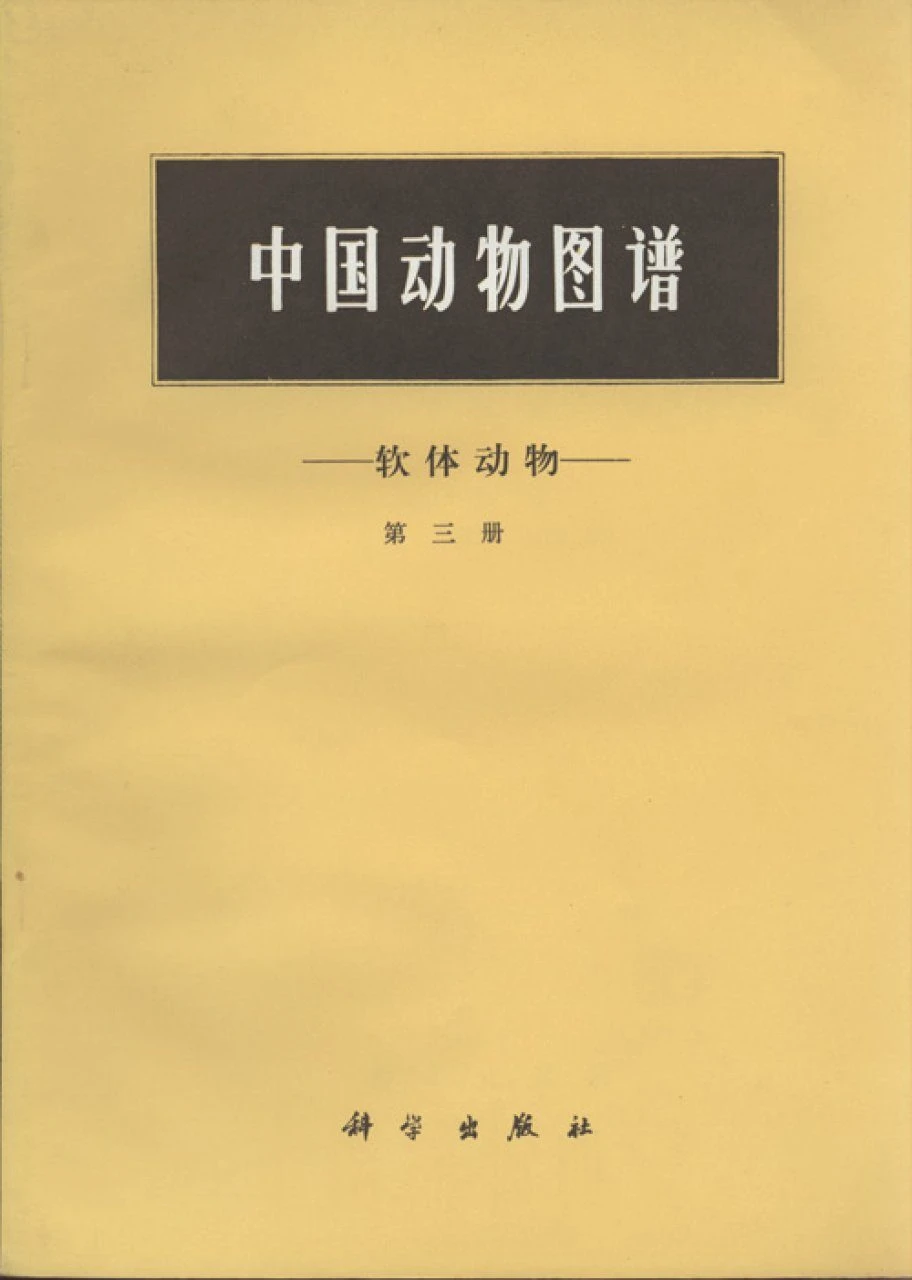 Illustrated Animals Of China-Mollusca 3 Illustrated Animals Of China-Mollusca