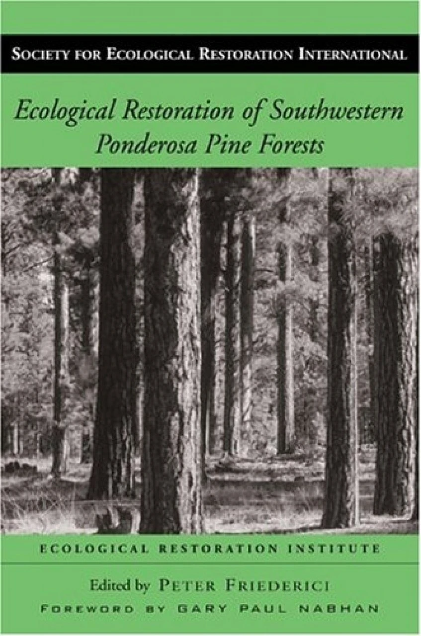 Ecological Restoration Of Southwestern Ponderosa Pine Forests 4 Ecological Restoration Of Southwestern Ponderosa Pine Forests - Image 2