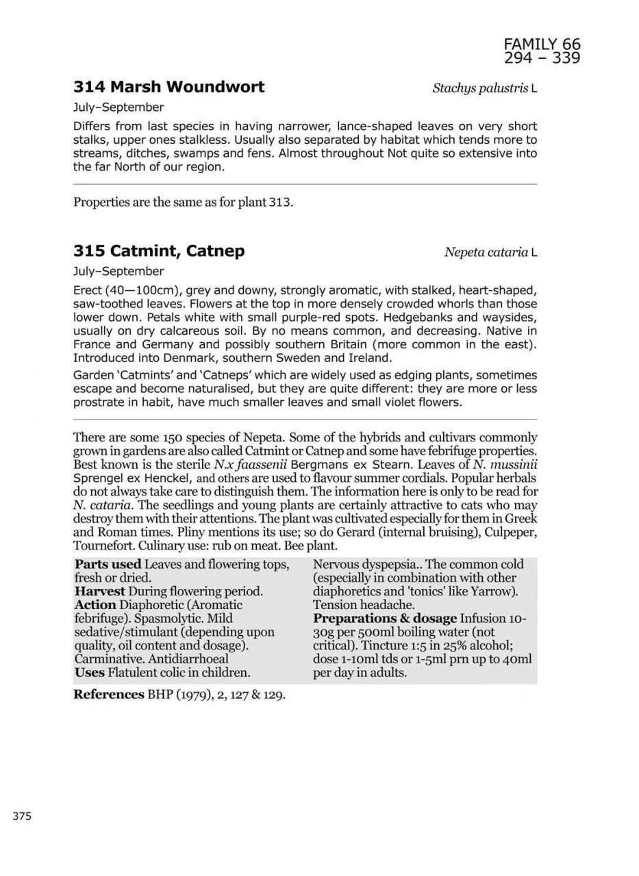 Medicinal Flora Of Britain And Northwestern Europe 5 Medicinal Flora Of Britain And Northwestern Europe - Image 3