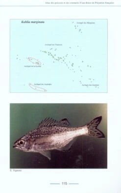 Atlas Des Poissons Et Des Crustacés D'eau Douce De Polynésie De Française [Atlas Of Freshwater Fish And Crustaceans Of French Polynesia] -Wildlife Professional Books 141668 4