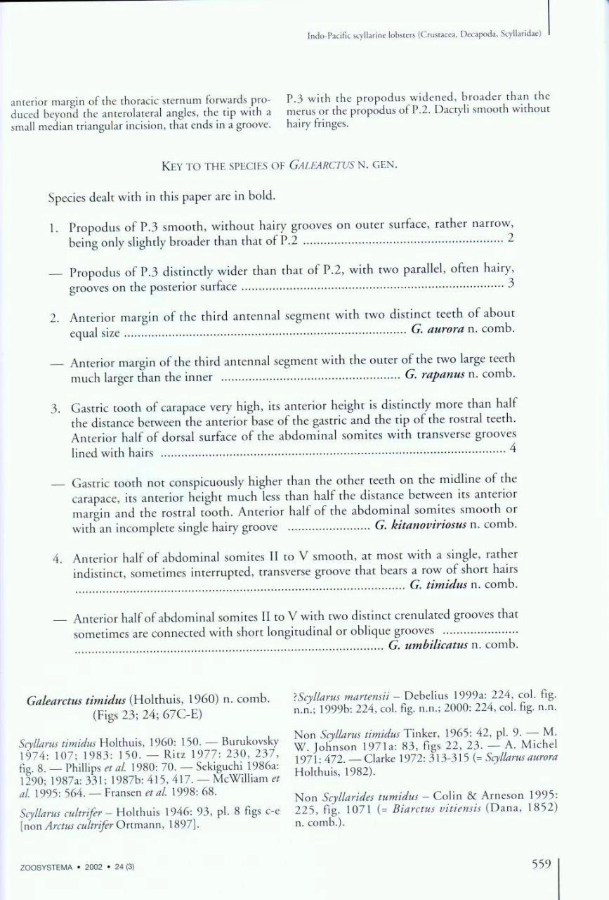 The Indo-Pacific Scyllarine Lobsters (Crustacea, Decapoda, Scyllaridae) 5 The Indo-Pacific Scyllarine Lobsters (Crustacea, Decapoda, Scyllaridae) - Image 3