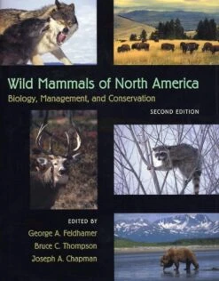Wild Mammals Of North America