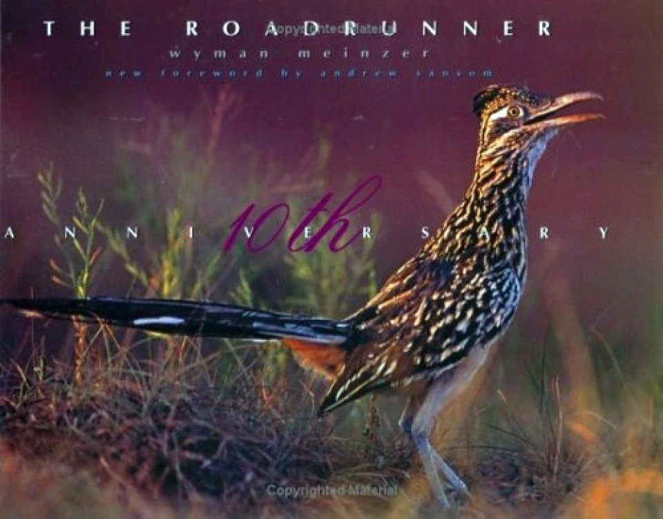 The Roadrunner 3 The Roadrunner