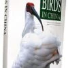 Birds In China 1 Birds In China -Wildlife Professional Books 143739