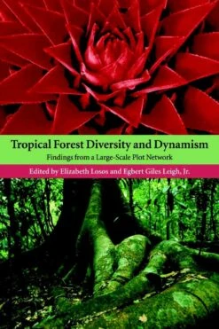 Tropical Forest Diversity And Dynamism