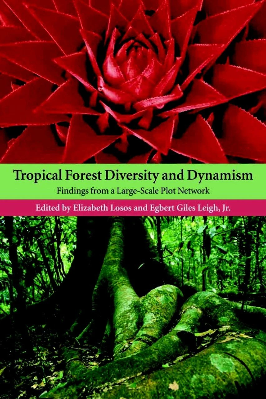Tropical Forest Diversity And Dynamism 3 Tropical Forest Diversity And Dynamism