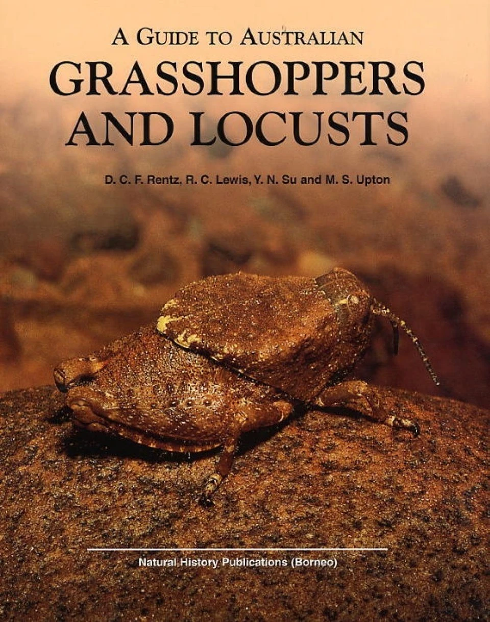 A Guide To Australian Grasshoppers And Locusts 3 A Guide To Australian Grasshoppers And Locusts