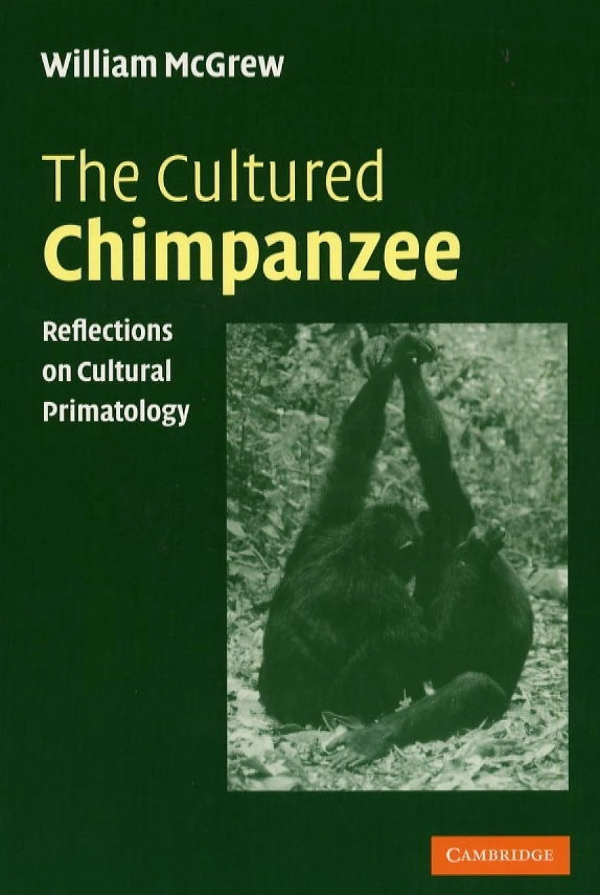The Cultured Chimpanzee 4 The Cultured Chimpanzee - Image 2
