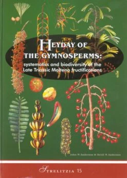 Heyday Of The Gymnosperms
