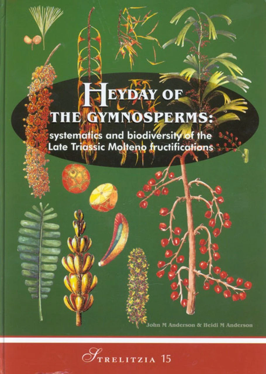 Heyday Of The Gymnosperms 3 Heyday Of The Gymnosperms