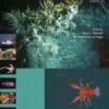 Tropical Deep-Sea Benthos, Volume 23 [Memoires Du Museum National D'Histoire Naturelle, Volume 191] -Wildlife Professional Books 148082