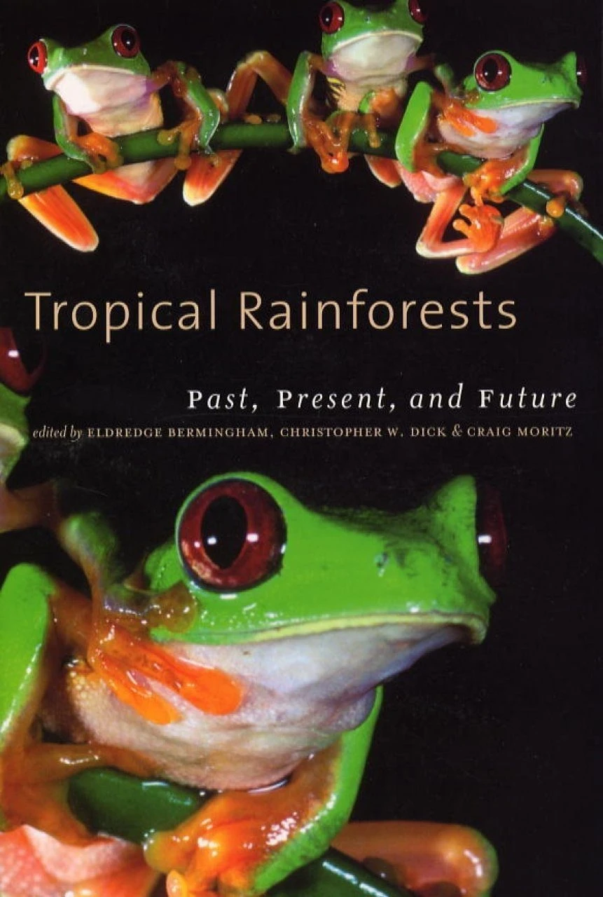 Tropical Rainforests 3 Tropical Rainforests