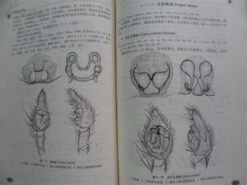 Spiders In Qinghai-Tibet Plateau Of China [Chinese] -Wildlife Professional Books 151386 1