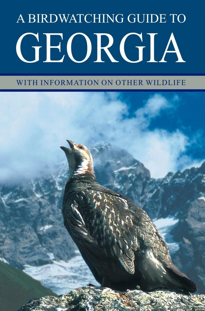 A Birdwatching Guide To Georgia 3 A Birdwatching Guide To Georgia