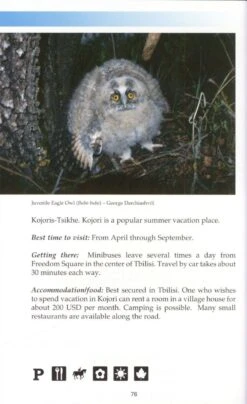 A Birdwatching Guide To Georgia 9 A Birdwatching Guide To Georgia -Wildlife Professional Books 151792 2