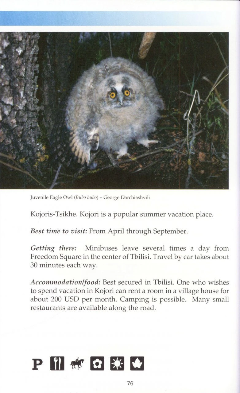 A Birdwatching Guide To Georgia 5 A Birdwatching Guide To Georgia - Image 3