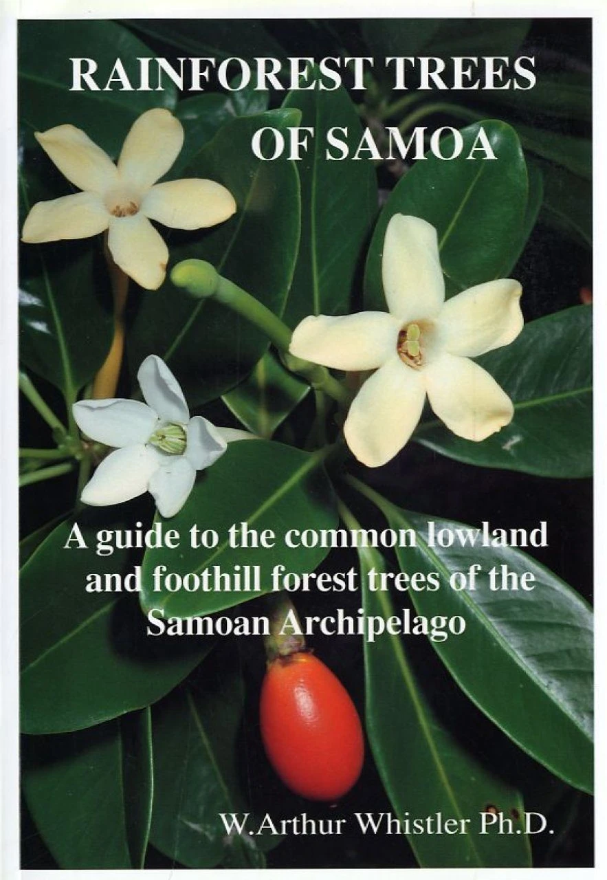 Rainforest Trees Of Samoa 3 Rainforest Trees Of Samoa