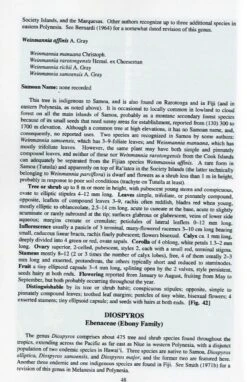 Rainforest Trees Of Samoa 8 Rainforest Trees Of Samoa -Wildlife Professional Books 152362 2