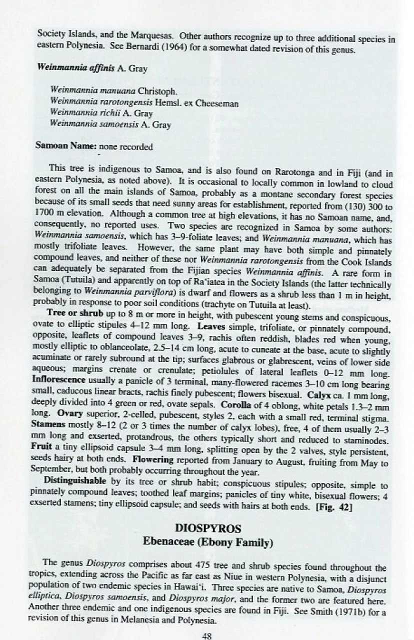 Rainforest Trees Of Samoa 5 Rainforest Trees Of Samoa - Image 3