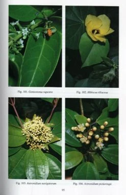 Rainforest Trees Of Samoa 9 Rainforest Trees Of Samoa -Wildlife Professional Books 152362 3