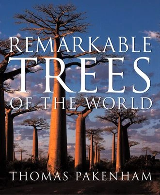 Remarkable Trees Of The World 4 Remarkable Trees Of The World - Image 2